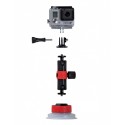 Suction Cup & Locking Arm