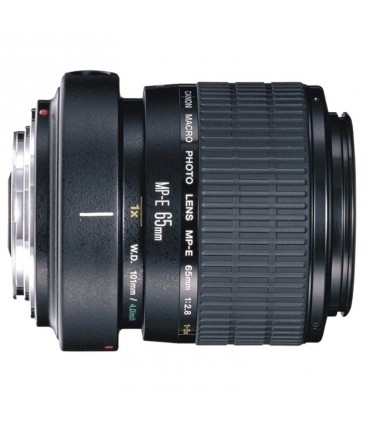Canon MP-E 65mm f/2.8 1-5x Macro Photo