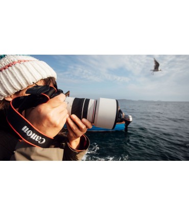 Canon RF 70-200mm F4L IS USM